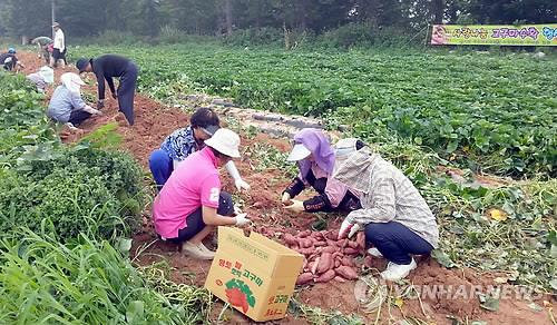 익산시, 귀농·귀촌인 조기 정착 지원 다각화