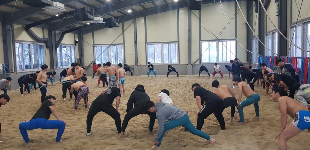 보은군 동계 스포츠 전지훈련지 '각광'…이달 18개팀 방문