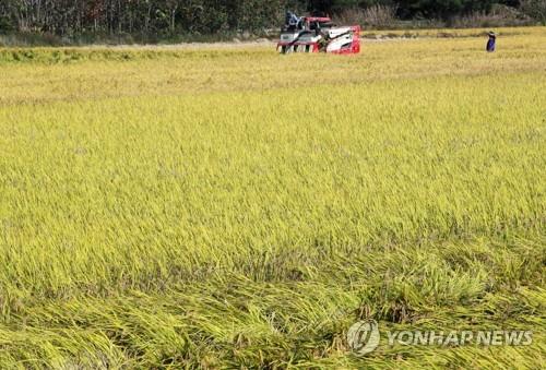 "쌀 생산 줄여라" 충북도 타작물 재배 ㏊당 150만원 지원