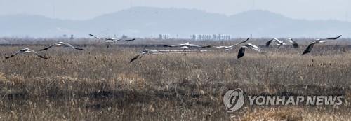 해남 간척지서 화재…인명 피해 없어