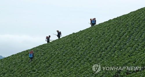 강원 농산물 비축·출하 시기 조절, 농가 소득 높인다