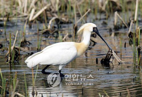 흑산도 예리 일원 국립공원 해제…흑산공항 건립 속도