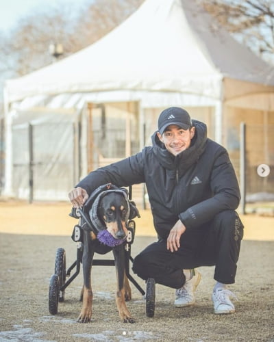 배정남, 전신마비 반려견 벨 근황...혼자 걷기 성공 "장하다"