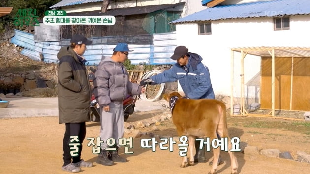 [종합] 주상욱, 송아지와 교감→산책…강풍에 날아간 닭장에 닭 탈출 '황당'('세컨하우스')