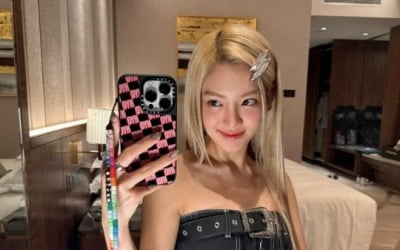 소녀시대 효연, 핀 꽂고 드러낸 '러블리 매력'…은은 미소로 거울 셀카