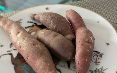 '정준호♥' 이하정, 시母에 받은 꿀맛 고구마 냠냠 "너무 먹었으니 관리 필수"