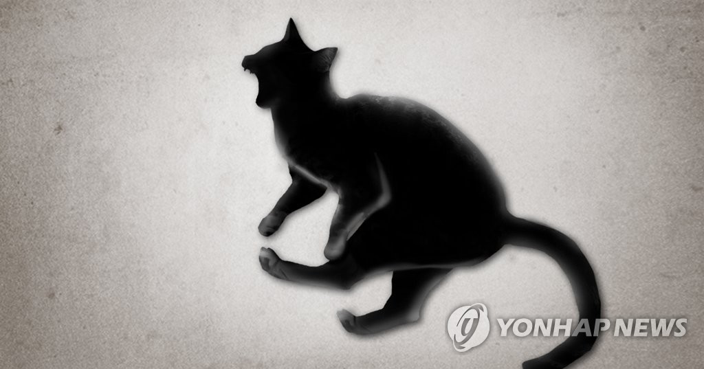 고양이 잔혹하게 죽인 군인들…발버둥 치는 모습 찍어 '톡으로'