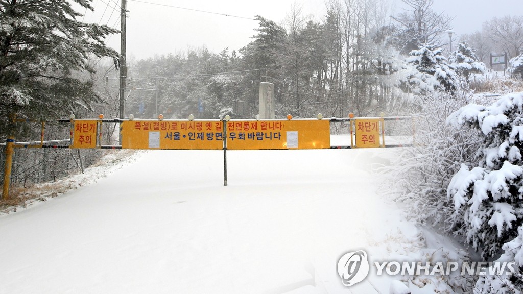 강원 산간 54.9cm '눈폭탄'에 곳곳 '쾅쾅'…도로·탐방로 통제(종합)