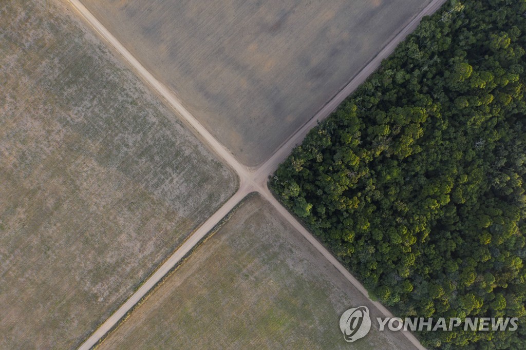 룰라 취임하자마자…브라질, 아마존 파괴 사범 단속 본격화