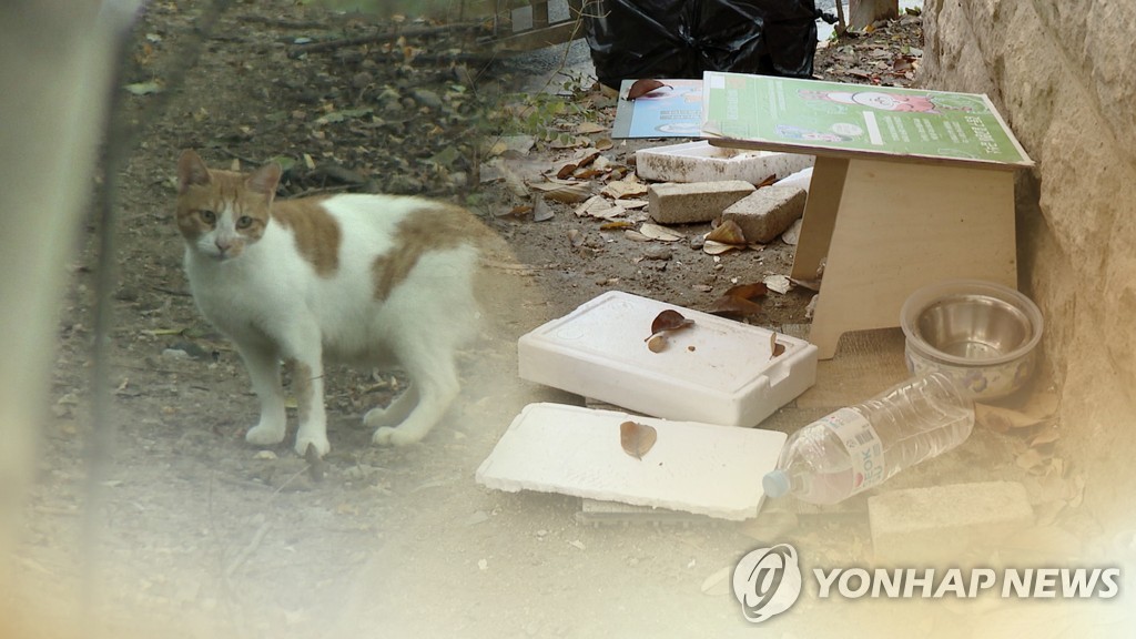 "길고양이 학대하려 끈끈이덫 설치한 듯"…인천서 의심 신고