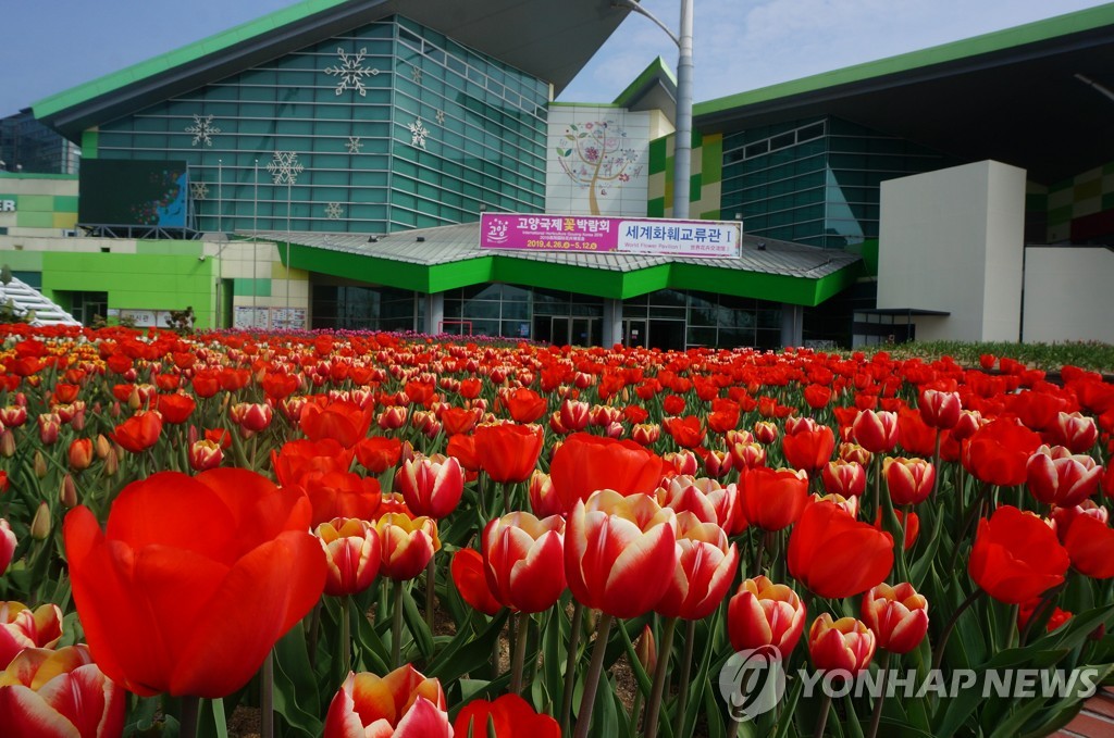고양 국제꽃박람회 4년 만에 개최…4월 27일 개막