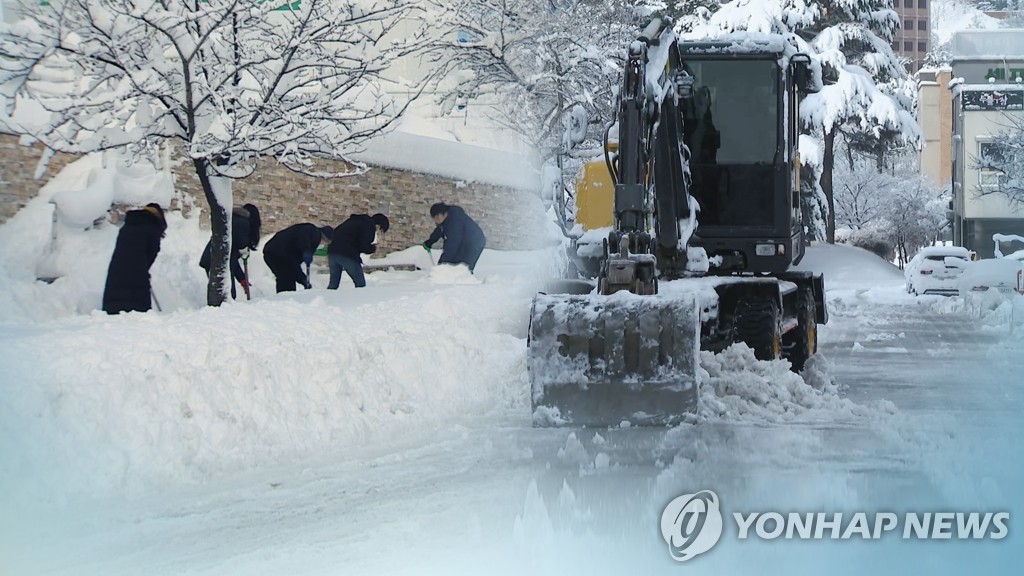 강원 산간 54.9cm '눈폭탄'에 곳곳 '쾅쾅'…도로·탐방로 통제(종합)