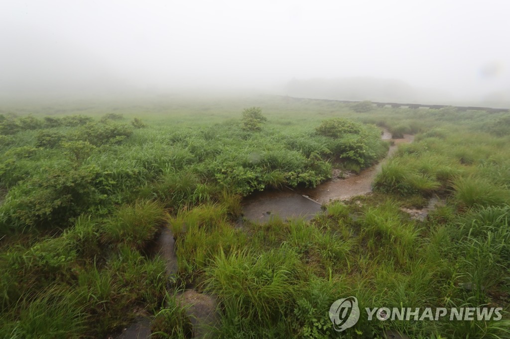 3월까지 람사르습지도시 후보지 공모…인증시 정부지원