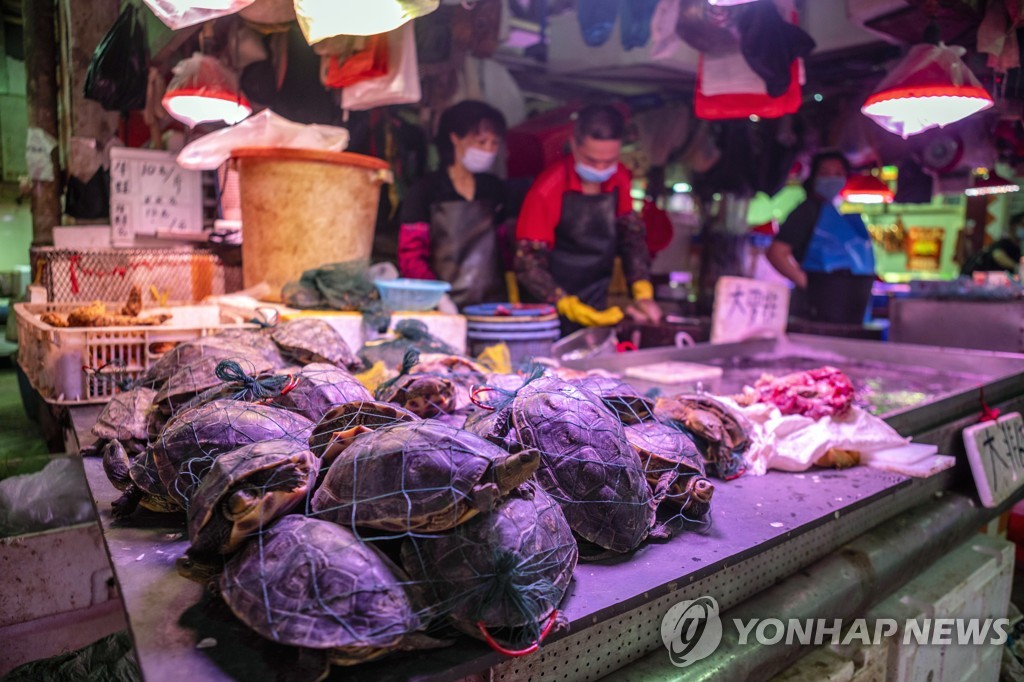 "코로나로 개정된 中야생동물보호법 허점투성이…불법 조장"