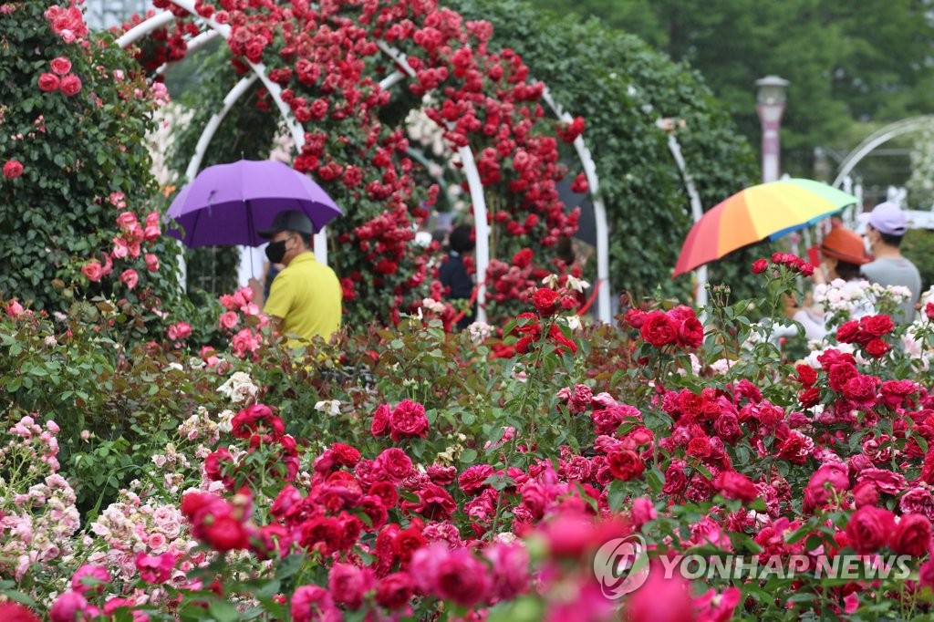 대전 동구, 뉴트로 감성 자극할 새 축제들 선보인다