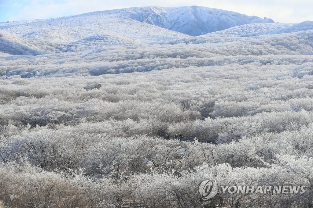 제주 흐리다 오후에 맑아져…낮 최고 8∼10도