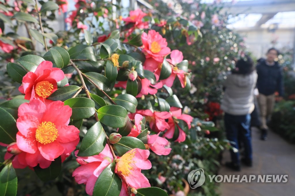 부산·울산·경남 맑다가 오후부터 구름…낮 최고 12도