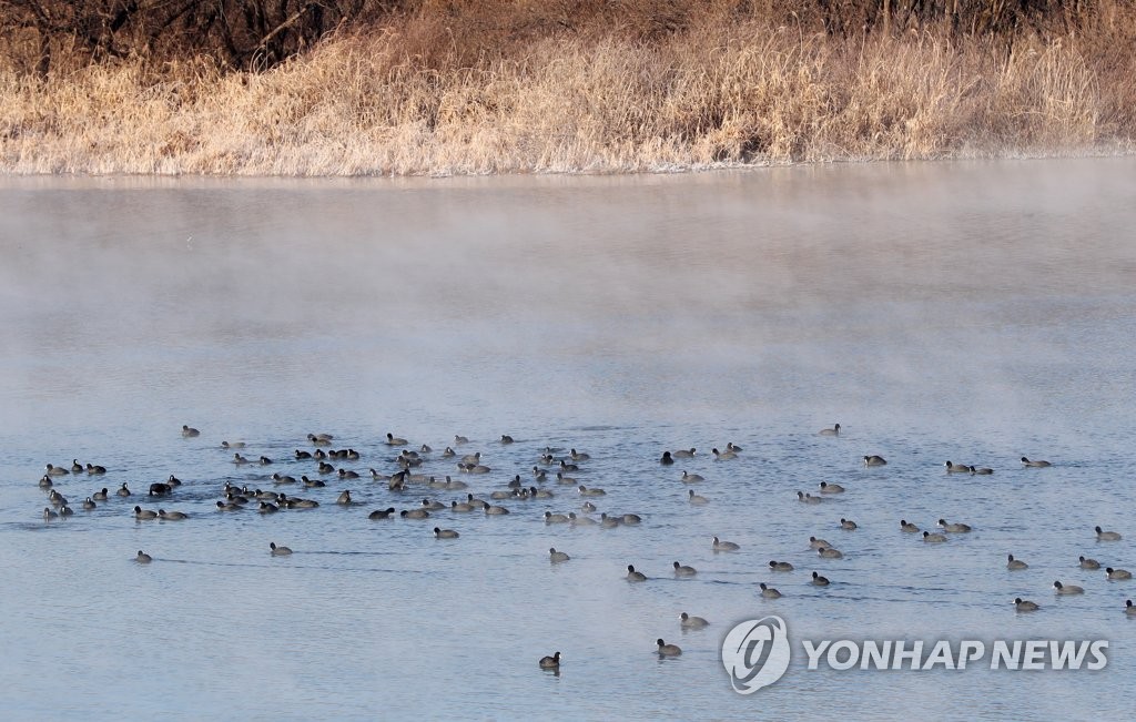 강원 영서 출근길 진눈깨비…"도로 살얼음 안전사고 주의"