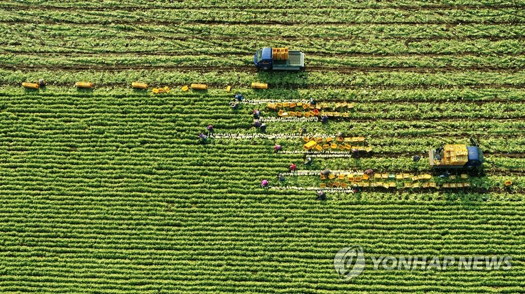 제주 대체로 맑음…낮 최고 15도