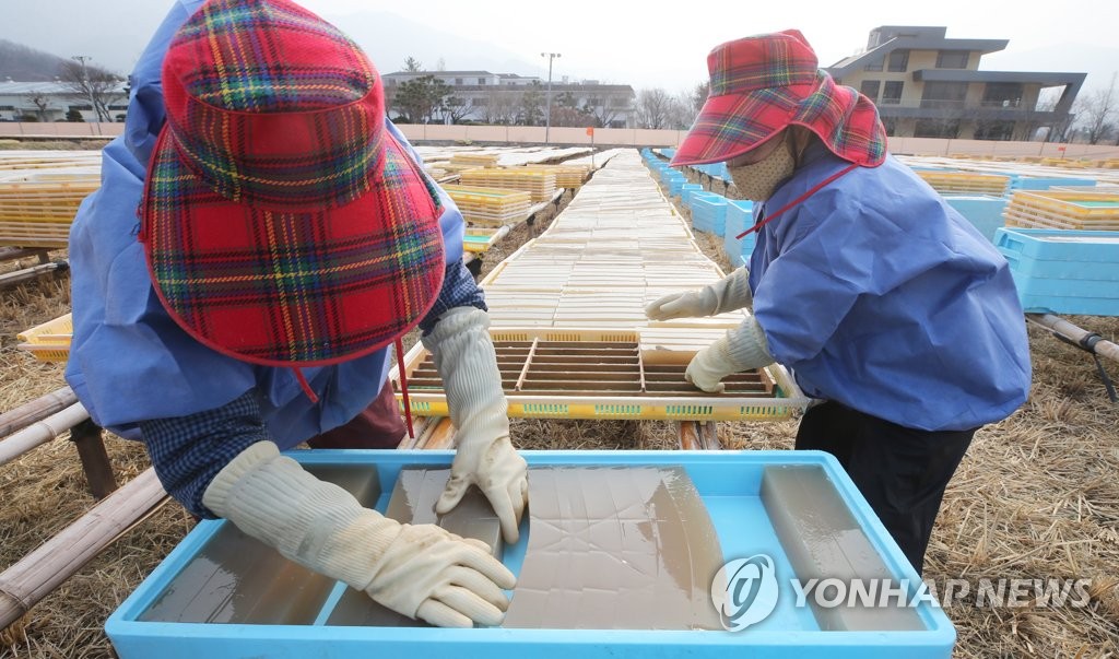 소한 추위가 반갑다…겨울이 만드는 여름 식품 '한천'