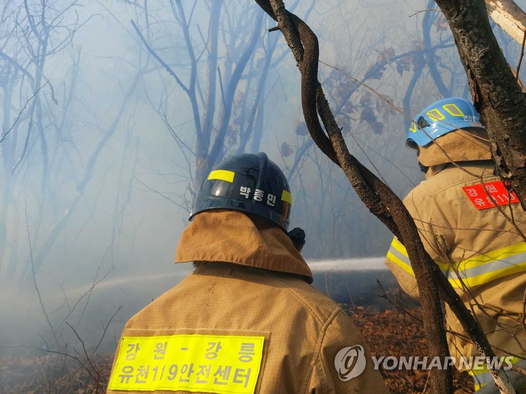 행안부, 봄철 산불 예방에 특교세 100억원 지원