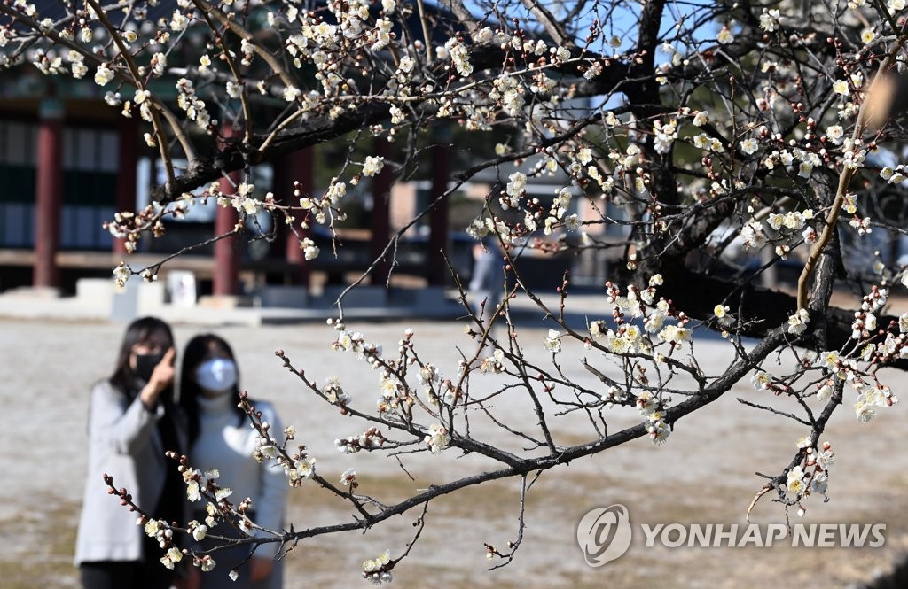 내일도 초봄 날씨…밤부터 강원영동 제외 전국에 비