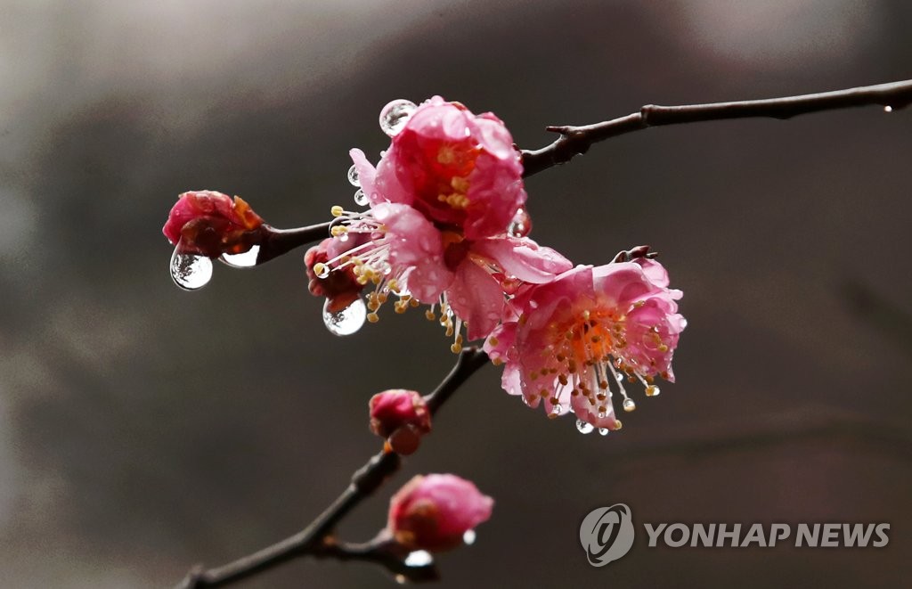 "지난주 단비로 전남 댐에 홍수기 직전까지 버틸 물 확보"