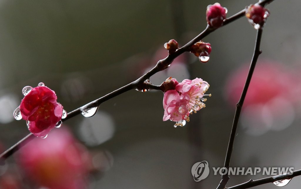 '겨울 단비'에 제한급수 완도 숨통…광주는 해갈 미미(종합)