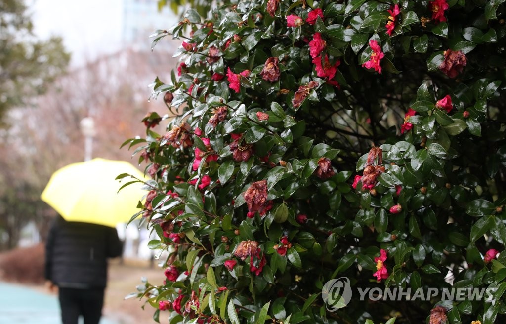 부산·울산·경남 흐리고 비 또는 눈…낮 최고 10∼13도