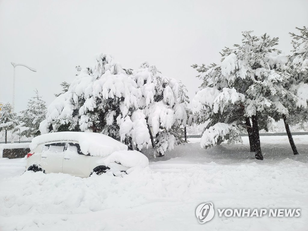 강원·충북·경북 등 대설주의보…중대본 1단계 가동