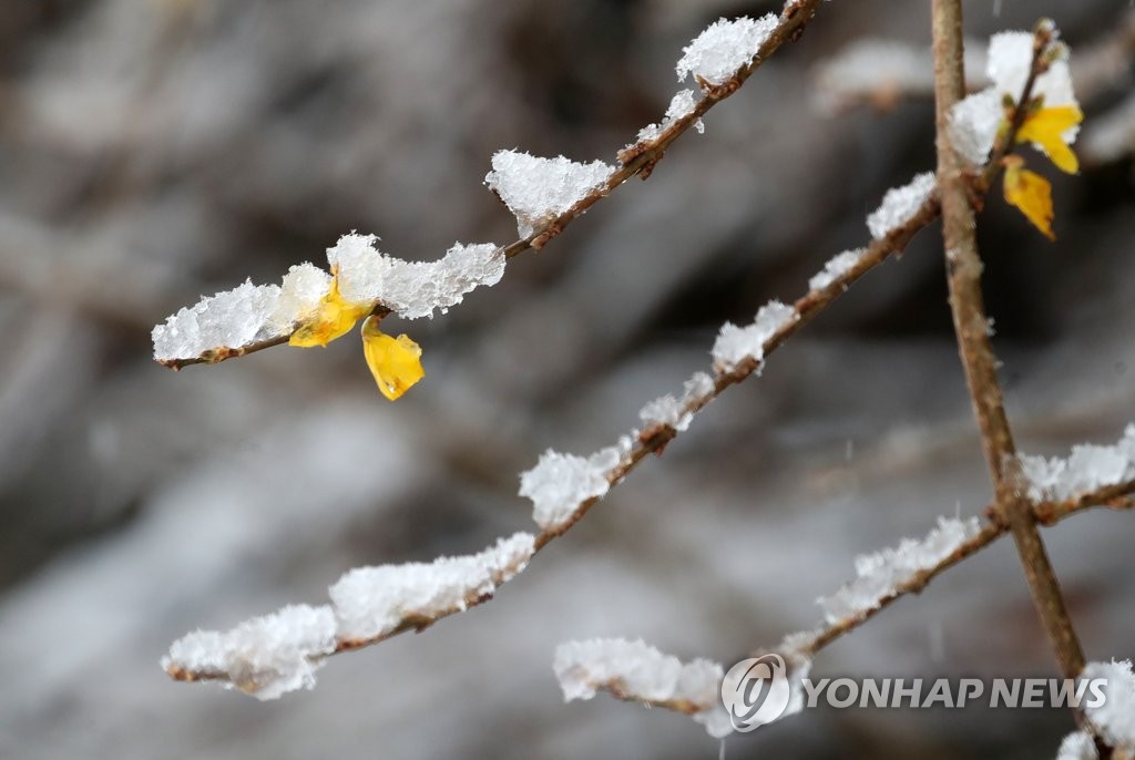 강원 곳곳 0.1㎝ 미만 눈…"도로 살얼음 등 안전사고 유의"