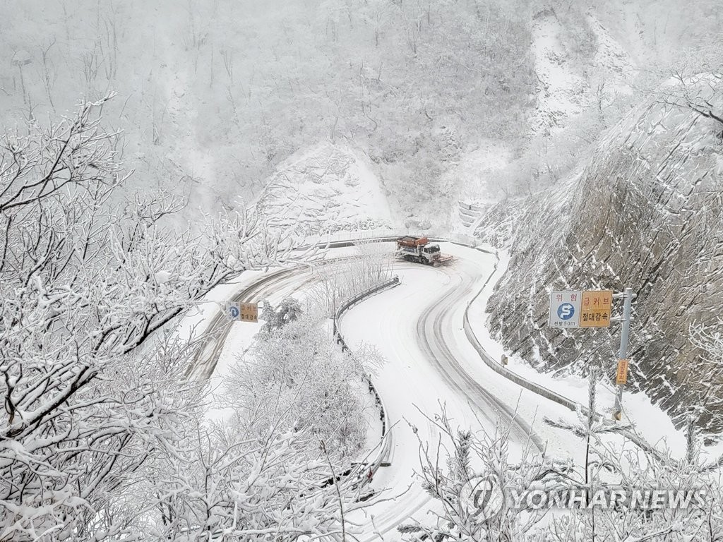 강원 산간 54.9cm '눈폭탄'에 곳곳 '쾅쾅'…도로·탐방로 통제(종합)