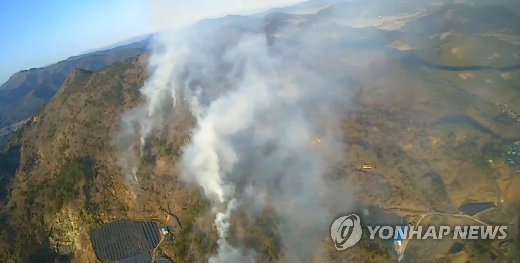 고흥 야산서 불…4시간여 만에 주불 진화(종합)