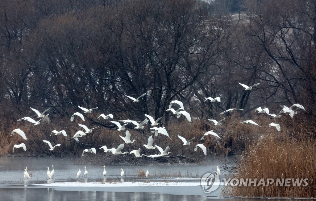 [내일날씨] 서울 아침 -6도…강한 바람에 체감온도↓