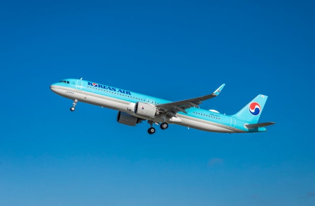 대한항공 A321neo 항공기.  /사진=연합뉴스