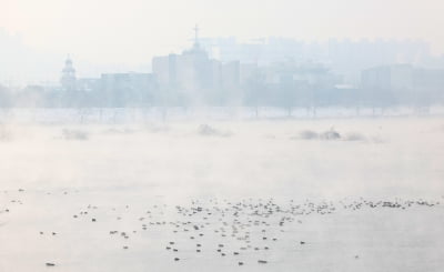 [내일날씨] 최저 영하 16도 '한파'…낮부터 누그러져 