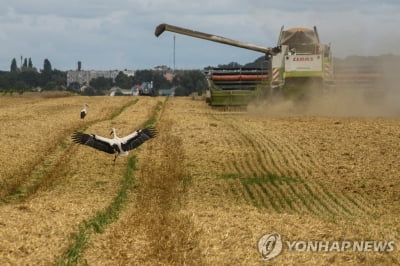 "러시아, 우크라 곡물 수출 대부분 차단…세계식량난 심화"