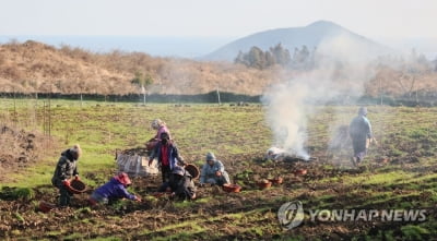 제주 흐리고 가끔 비…미세먼지 '나쁨'