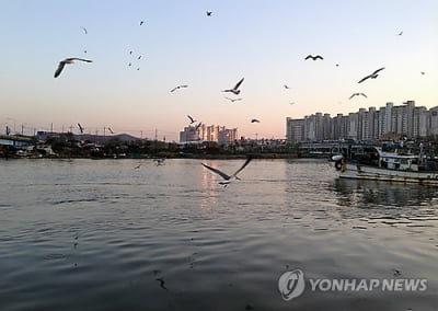 인천 소래포구 갯벌서 40대 숨진 채 발견…해경 수사