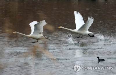 [날씨] 맑고 평년보다 포근…서울·경기 미세먼지 '나쁨'