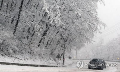 강원 북부산지 많은 눈…향로봉 15.3㎝·미시령 14.3㎝