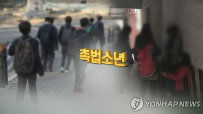 편의점주 폭행하며 "난 촉법소년" 주장한 중학생 결국 징역살이