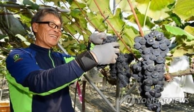 남원 친환경 농산물, 서울·경기 학교 급식에 3년간 납품