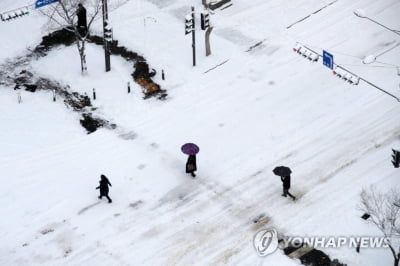 광주전남 대설·강풍·풍랑 특보…귀경 하늘·바닷길 막혀(종합)