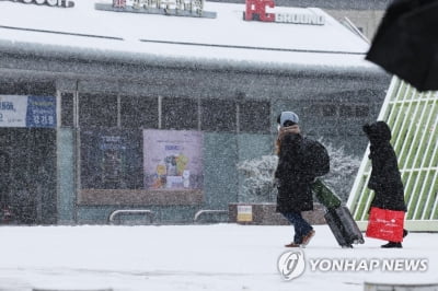 광주전남 폭설에 귀경길 사고 속출…강풍 피해 신고도 잇따라