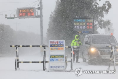 눈보라 치는 제주…하늘·바닷길 끊기고 눈길 사고 속출(종합)