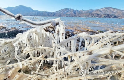 [날씨] 연휴 끝 출근길 더 춥다…서울 아침 -18도