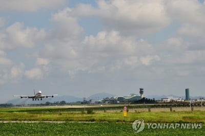 무안공항, 자동 출입국 시스템 장애로 수속 지연