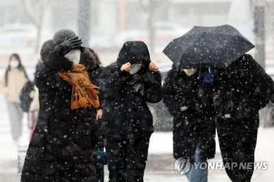 '역대급 한파' 광주·전남 최저 영하 20도…사고 잇따라