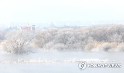 강원 맑다가 차차 흐려져…내륙·산지 1∼3㎝ 눈